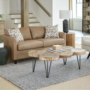 Bayment Sofa Sleeper